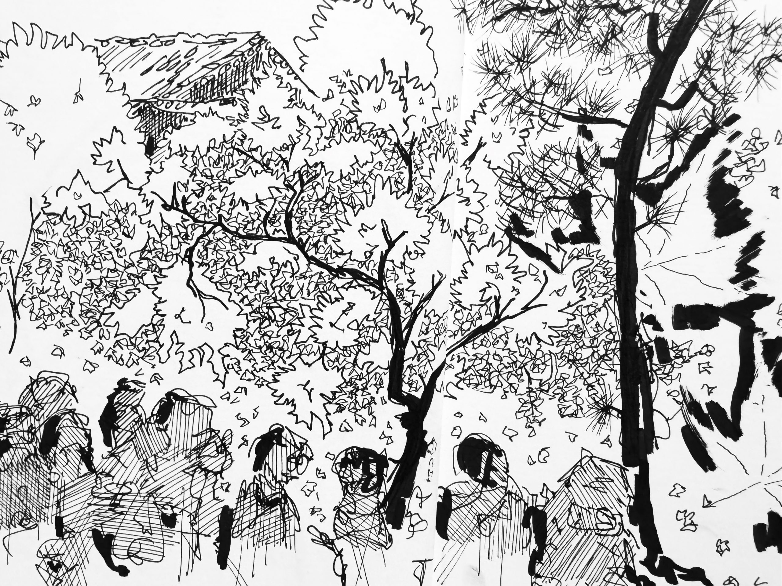 an infinite well of curiosity