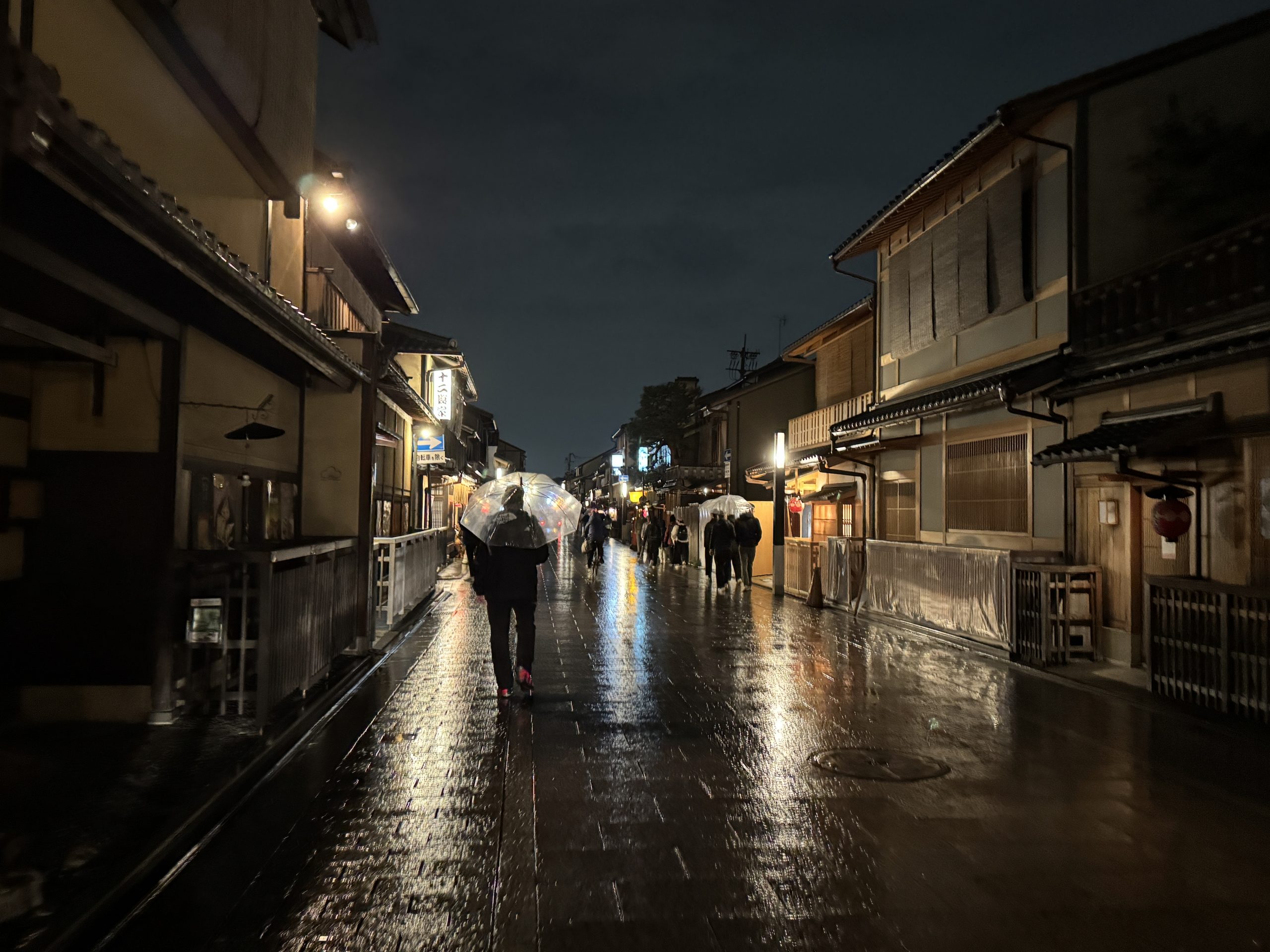 lucid professionalism